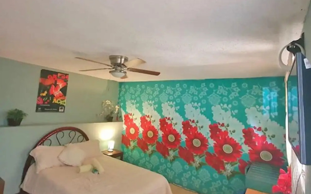 Hierba de Conejo - Hostel