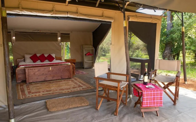 Hammerkop Migration Camp