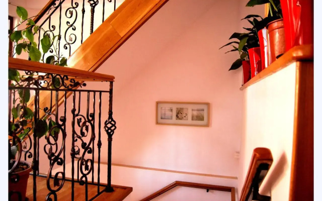 Pensiunea Pluto Sulina