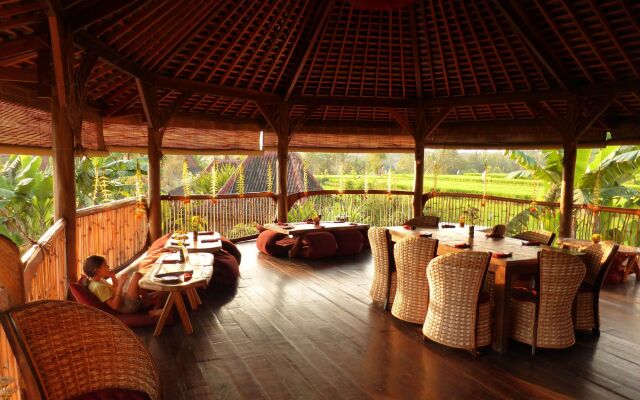 Dragonfly Village