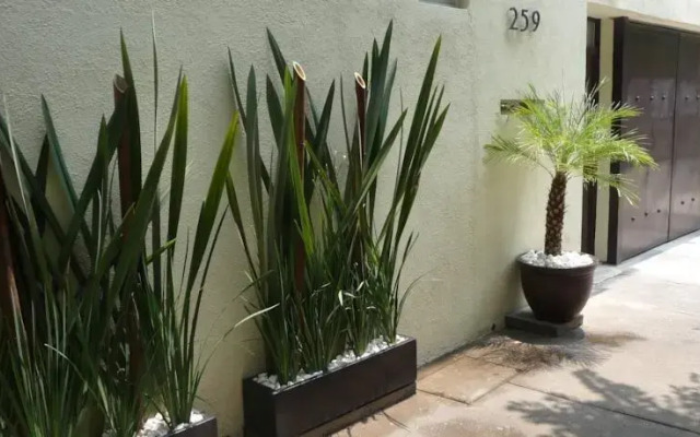 Suites 259 Condesa