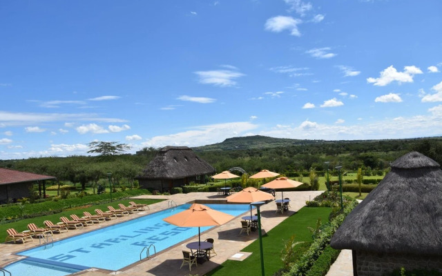 Starling Bird Resort