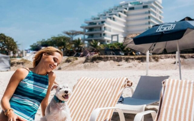 Numad Infinity Blue Suite