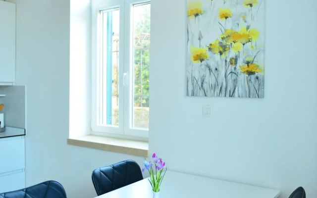 Studio Apt Orchard on Rokova St
