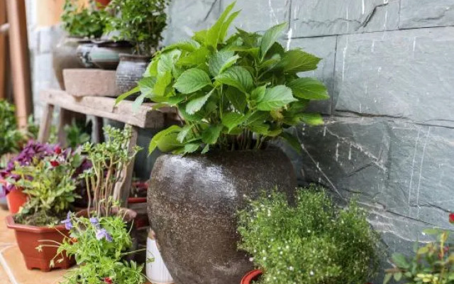 Xiangjian Xiaoqi Hostel