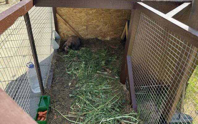 Pav.love Village (ПавЛов)