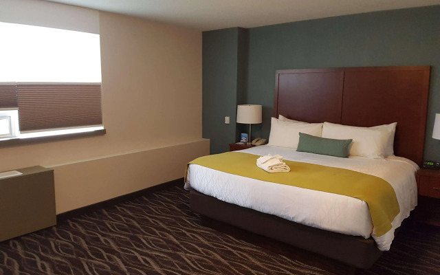 Best Western Plus Durham Hotel & Conference Centre