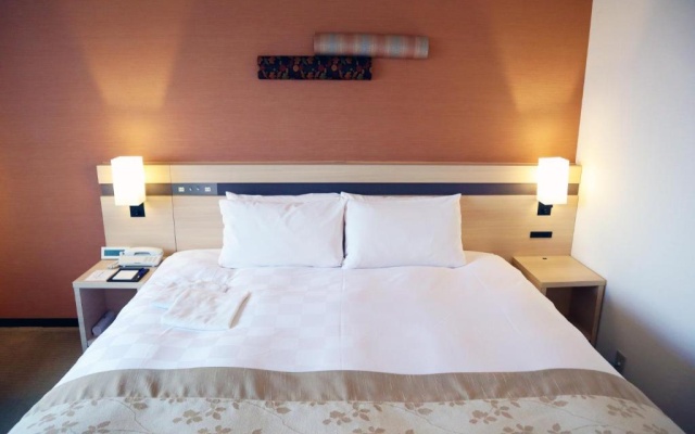 Double room (풀 더블 침대) 사진 3
