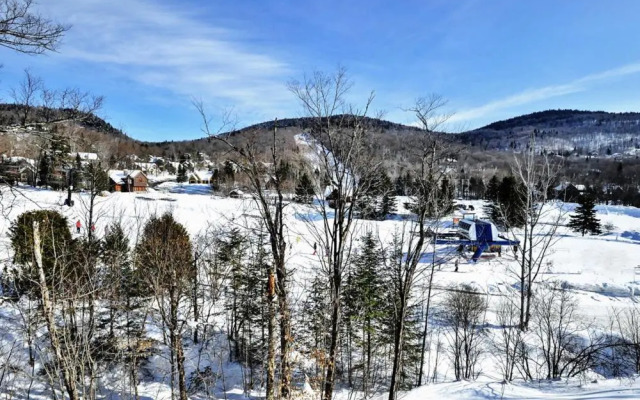 Condo 304 33 Chemin du Hameau by Les Chalets Alpins