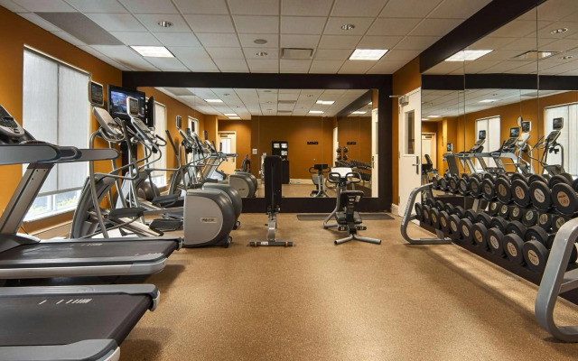 Hilton Garden Inn Houston/Galleria Area