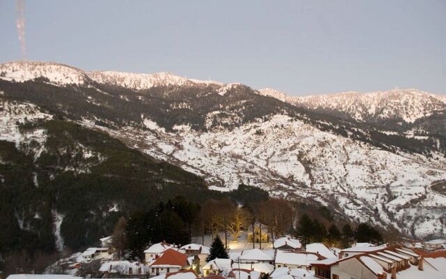 Asteri Metsovo