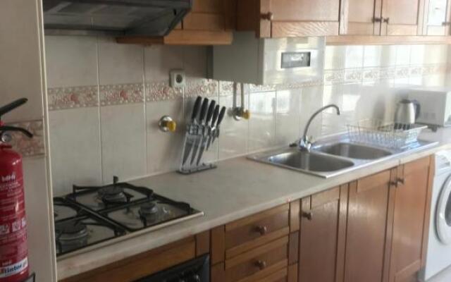 Miguel Torga Gold II