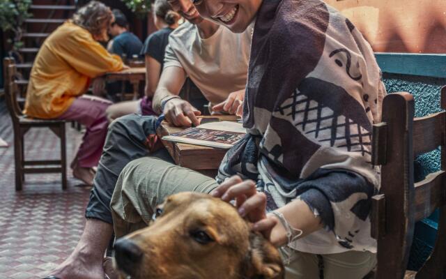 KACLLA, The Healing Dog Hostel