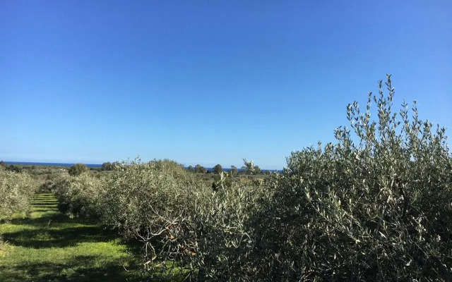 Sa Tanca De Mannoi