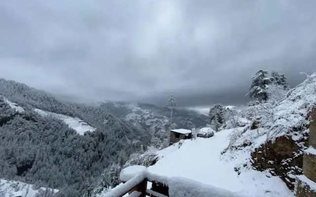 Alpine Crest Homestay