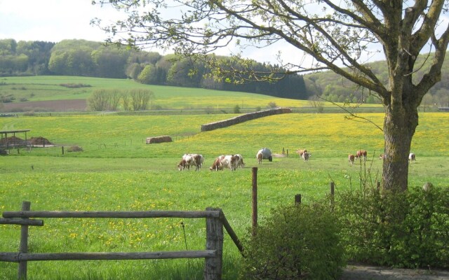 Luxury Holiday Home In Rohl Eifel With Fenced Garden