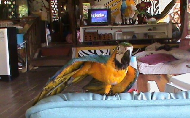 Bang Bao Cliff View Resort