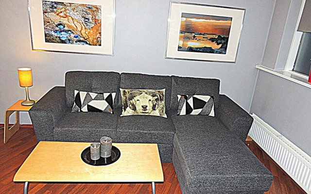 Reykjavik Center Condos