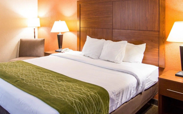 Comfort Inn & Suites Charleston Airport Convention Center