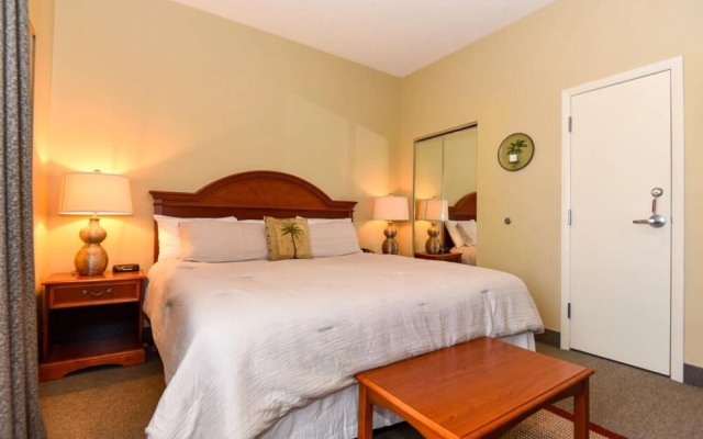 Bike Week Perfection