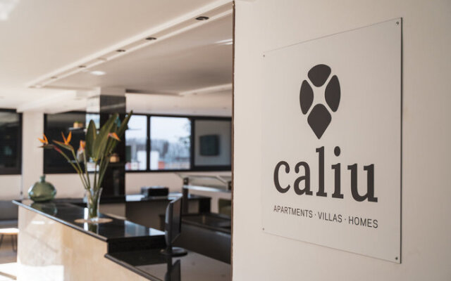 Beatrix 2000 - Caliu Apartments