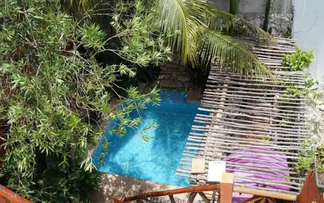 Estudios Playa del Carmen