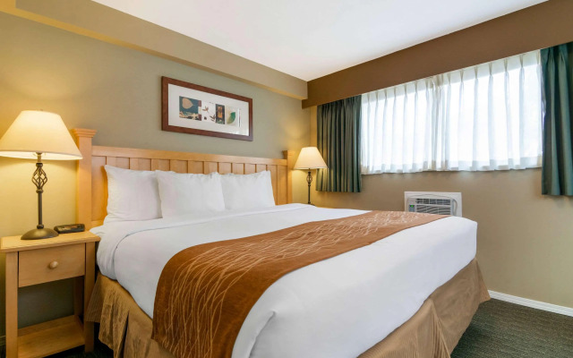 Econo Lodge Inn & Suites