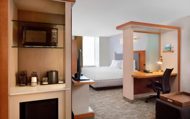 SpringHill Suites by Marriott Indianapolis Downtown