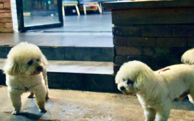 Comma Travel International Youth Hotel