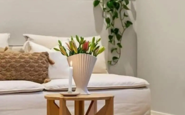 Stay l The Town House