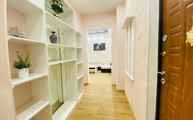 Apartment Hanaka Vladimirskaya 9