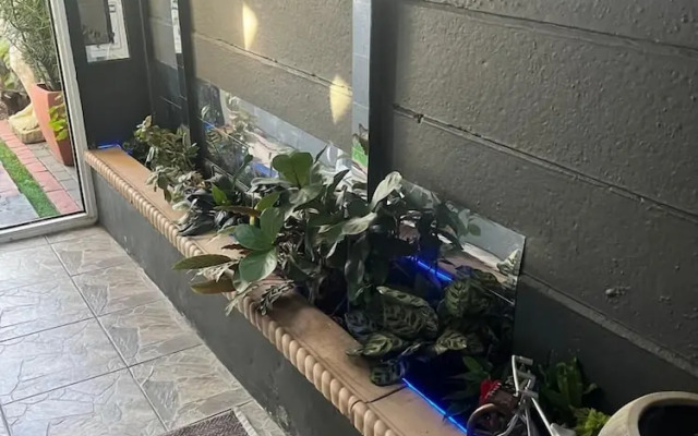 Mitchells Guesthouse