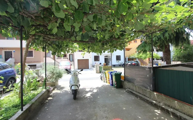 Studio Vera