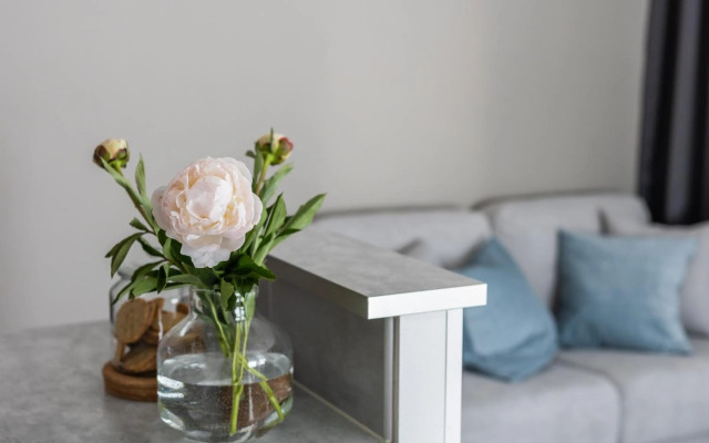 Arctic Starry City Suite