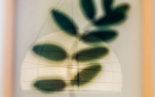 Santos Green Apartment