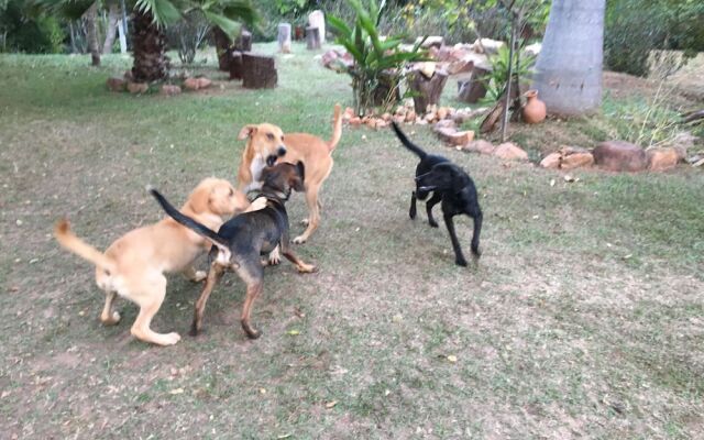 Rancho Ecologico Oasis de Luz