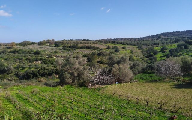 Villa Stefania Dream Aparthotel