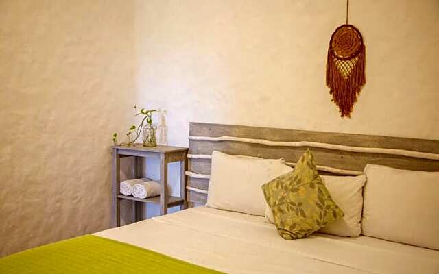 Aak Estudios Holbox