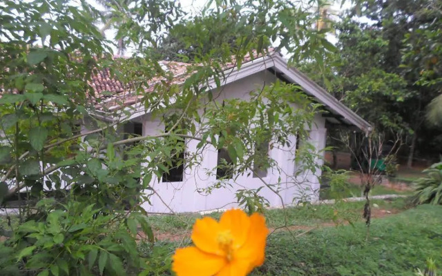 Chitra Ayurveda