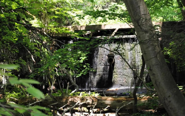 Beacon Hermitage