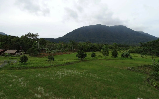 Sheridan Organic Farm and Eco Village
