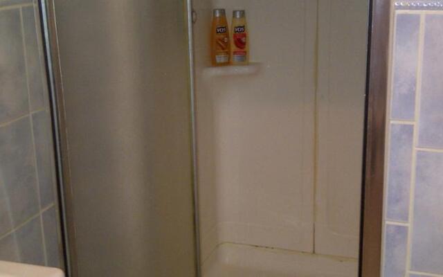 One Bedroom Apartment