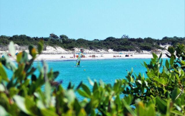 Pineta Spiaggia Grande 2