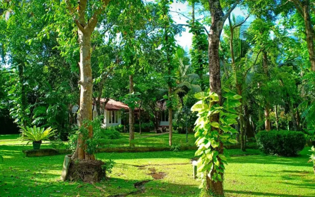 Mango House Japanese Guest House