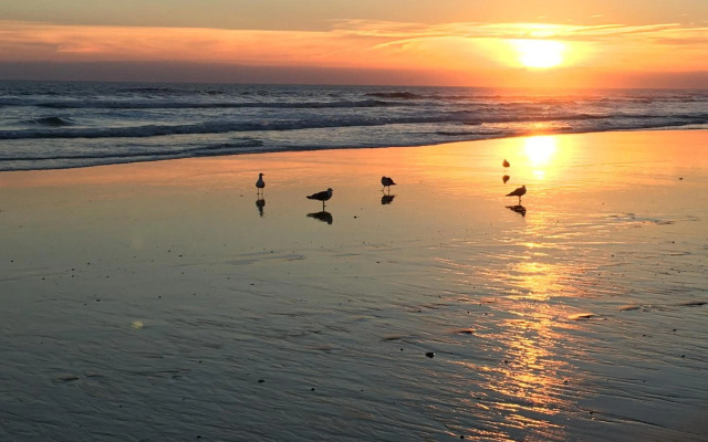 Luxurious T2 apartment, Olhos Dagua