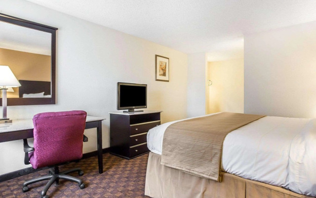 Quality Inn & Suites Coliseum