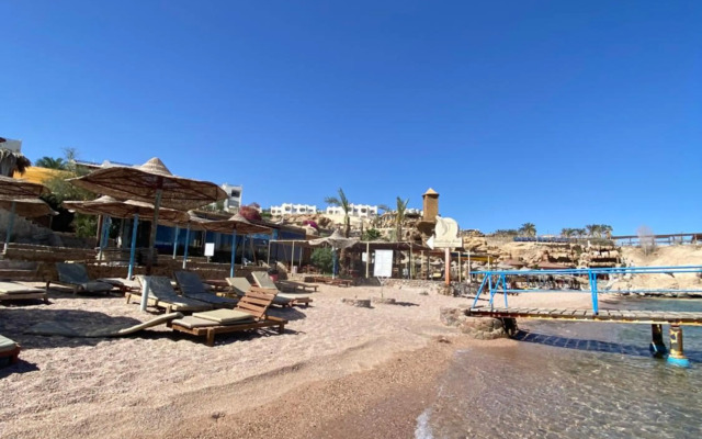 Shark's bay oasis 2 bedrooms apartment