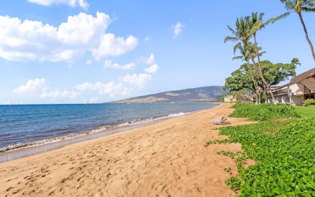 Maalaea Surf A6