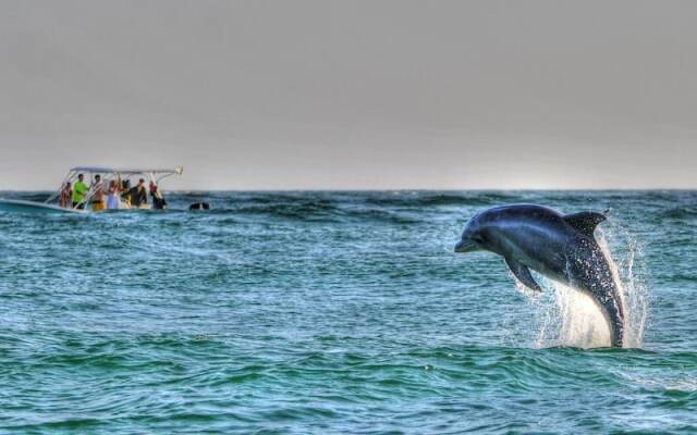 Bonita Point Condo II #214e