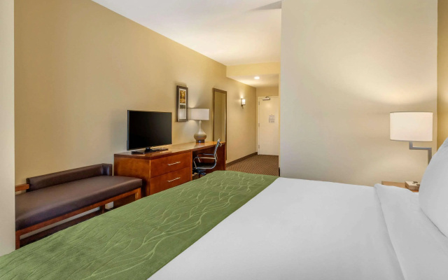 Comfort Inn & Suites Florence Center Area